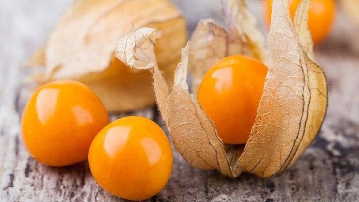 Altın çileğin faydaları nelerdir? neye iyi gelir? Altın çilek ne işe yarar? Altın çileğin az bilinen faydaları