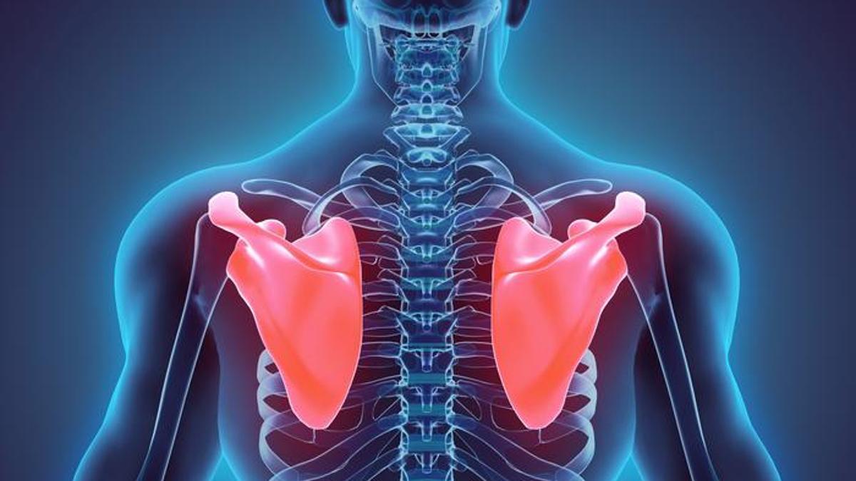 Kürek Kemiği Ağrısı İçin Hangi Doktora Gidilir? Kürek Kemiği Ağrısına Hangi Bölüm Bakar?