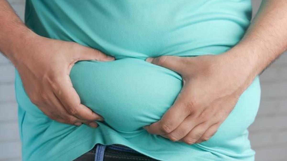 Obezite ve Kilo Artışı Hangi Riskleri Taşıyor?