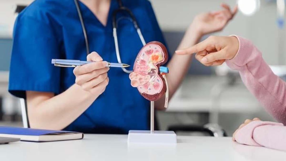 Türkiye’de Her 6–7 Erişkinden Birinde Kronik Böbrek Hastalığı Görülüyor