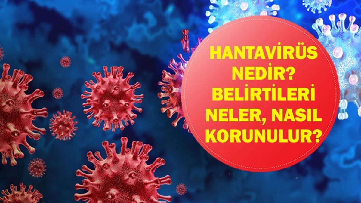 Hantavirüs Alarmı: Hantavirüs Nedir, Nasıl Bulaşır? Erken Belirtiler Neler, Nasıl Korunulur? MV Hondius Gemisinde Şüpheli Salgın!