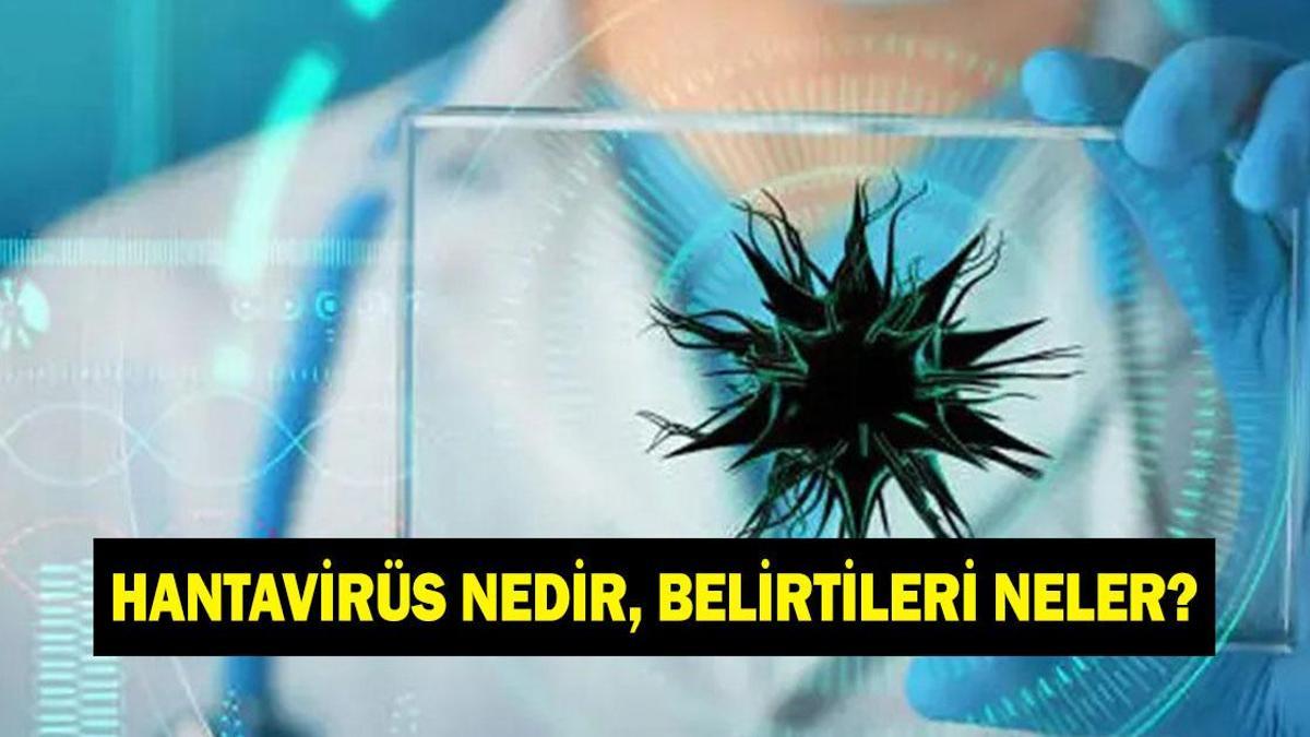Hantavirüs nedir, belirtileri neler? Hantavirüs bulaşıcı mı, korunma yolları neler?