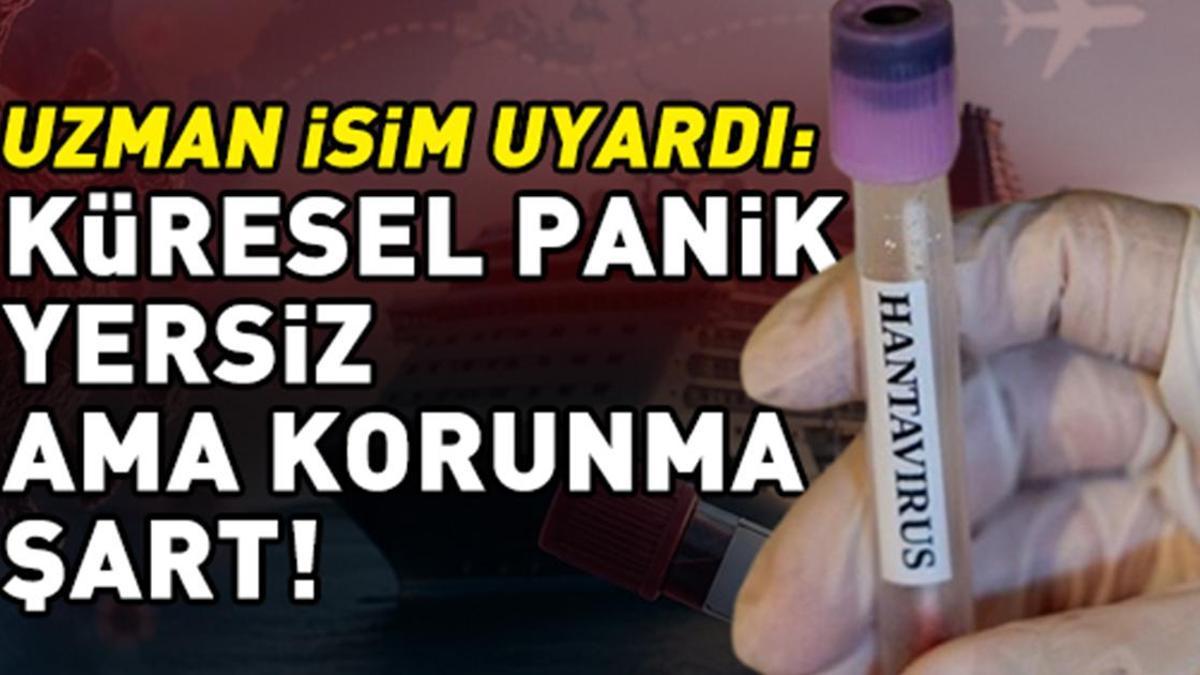 Uzman isimden 'hantavirüs' uyarısı: 'Küresel panik yersiz, bireysel korunma şart'