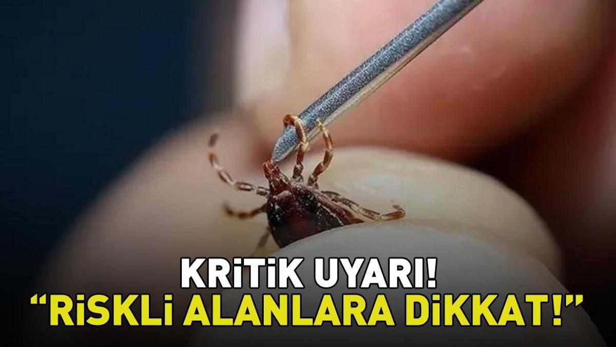 Aman dikkat! Uzman isimden kene uyarısı! 'Belirtiler 3. günden itibaren ortaya çıkabiliyor'