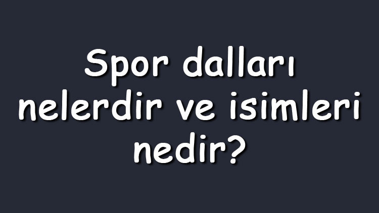 Spor dalları nelerdir ve isimleri nedir? Az bilinen, olimpik, ekstrem ve geleneksel sporlar