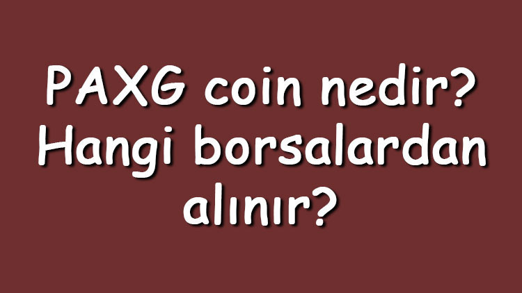 PAXG coin nedir? Hangi borsalardan alınır? PAX Gold ne zaman çıktı? Ne iş yapar?
