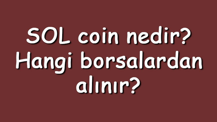SOL coin nedir? Hangi borsalardan alınır? Solana ne zaman çıktı? Ne iş yapar?