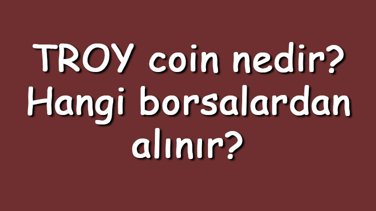 TROY coin nedir? Hangi borsalardan alınır? TROY ne zaman çıktı? Ne iş yapar?