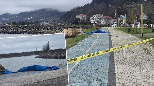 Ordu'nun Fatsa ilçesi sahiline vurdu: Ekipler harekete geçti