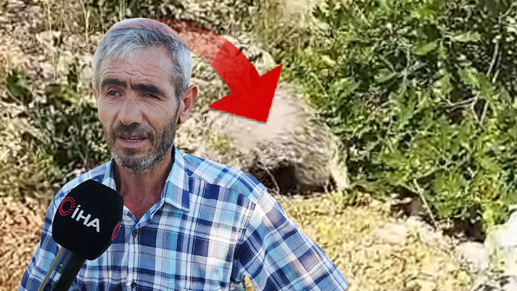 Dünyanın en korkusuz hayvanı Malatyalı'ya denk geldi: Saldırısına uğrayınca bayılttı