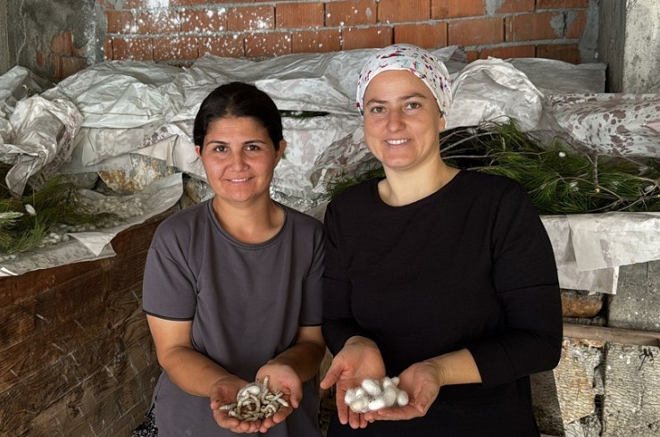 İpek böcekleri aile geçindiriyor