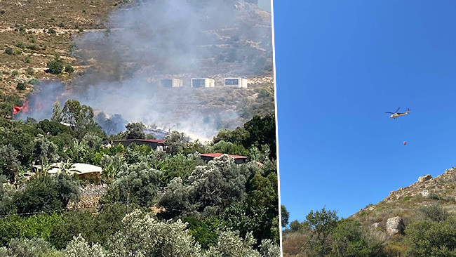 Bodrum'da otluk ve makilik alanda yangın