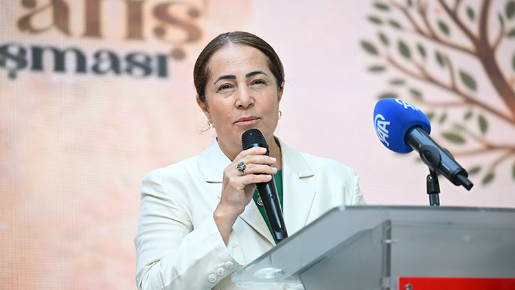 Korkutan nüfus tablosu: Türkiye'de her 100 hanenin 58'inde çocuk sesi yok