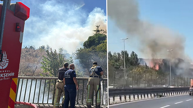 İstanbul'da otluk alanda çıkan yangın söndürüldü
