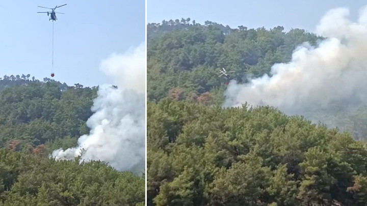 Adana Kozan'daki orman yangını kontrol altına alındı