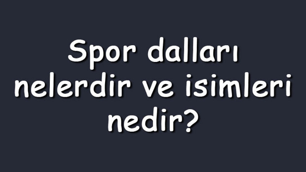 Spor dalları nelerdir ve isimleri nedir? Az bilinen, olimpik, ekstrem ve geleneksel sporlar