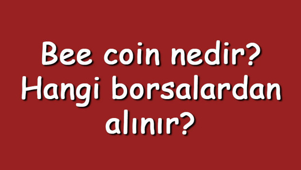 Bee coin nedir? Hangi borsalardan alınır? Bee Token ne zaman çıktı? Ne iş yapar?