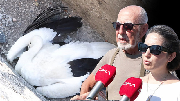 İstanbul'da korkunç görüntü! 52'si öldü, 5'i yaralandı | 'Bu facia devam edecek'