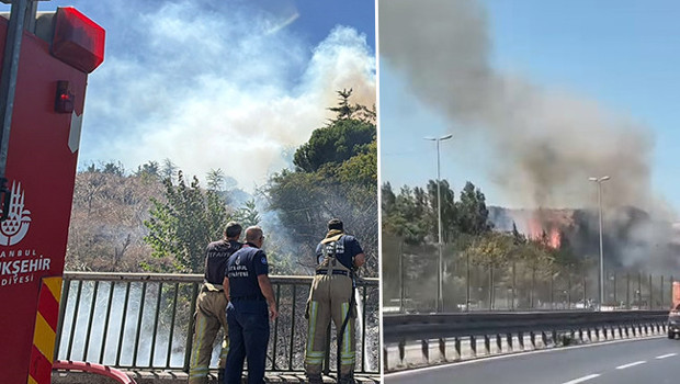 İstanbul'da otluk alanda çıkan yangın söndürüldü
