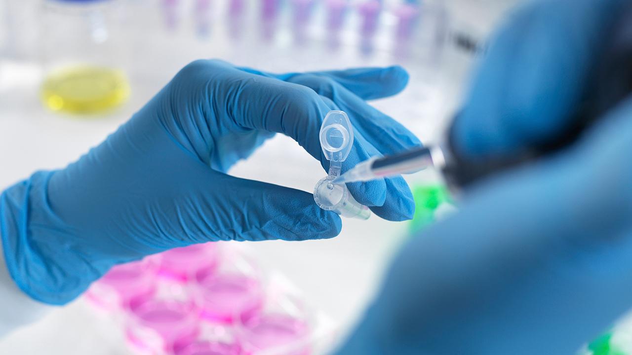 Üniversite laboratuvarında uyuşturucu laboratuvarı