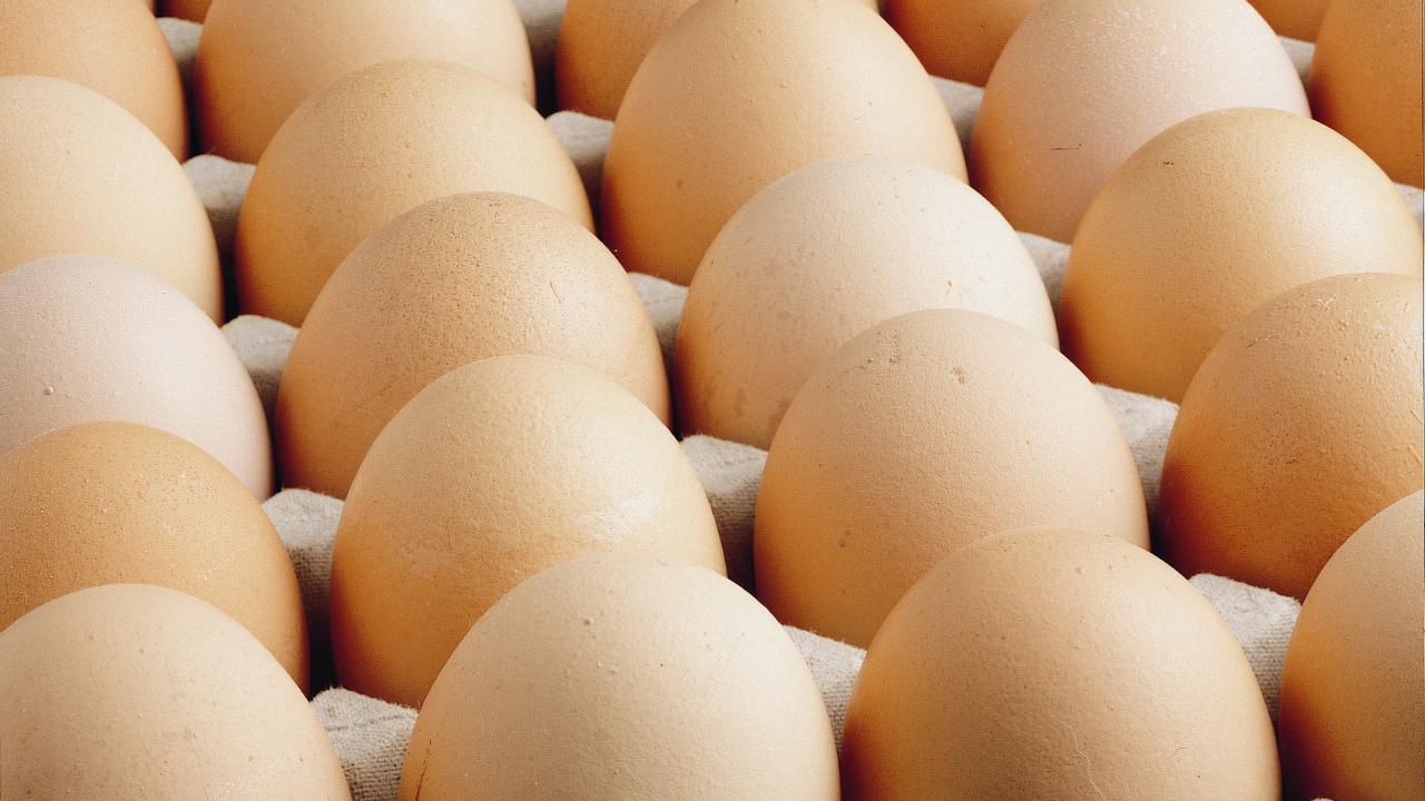 Avrupa'daki kuş gribi Türk yumurtasına talebi artırdı