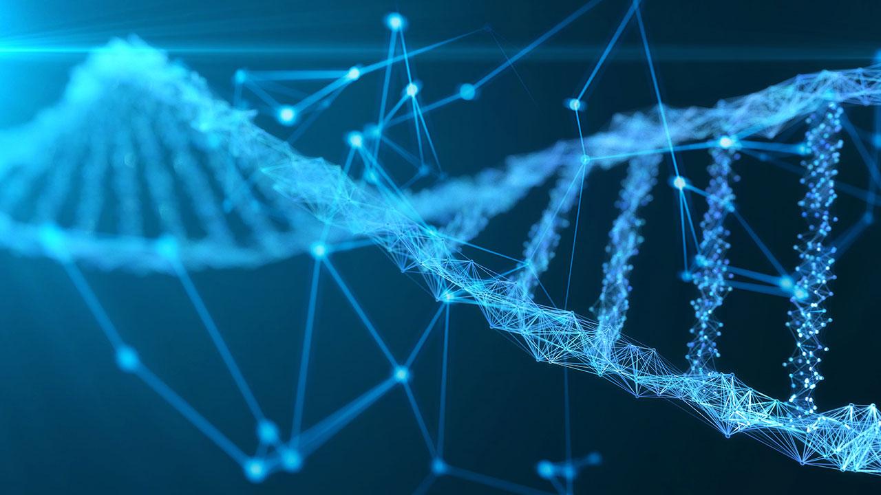 180 yıldır kayıp olan denizcilerin kimlikleri DNA ile belirlendi