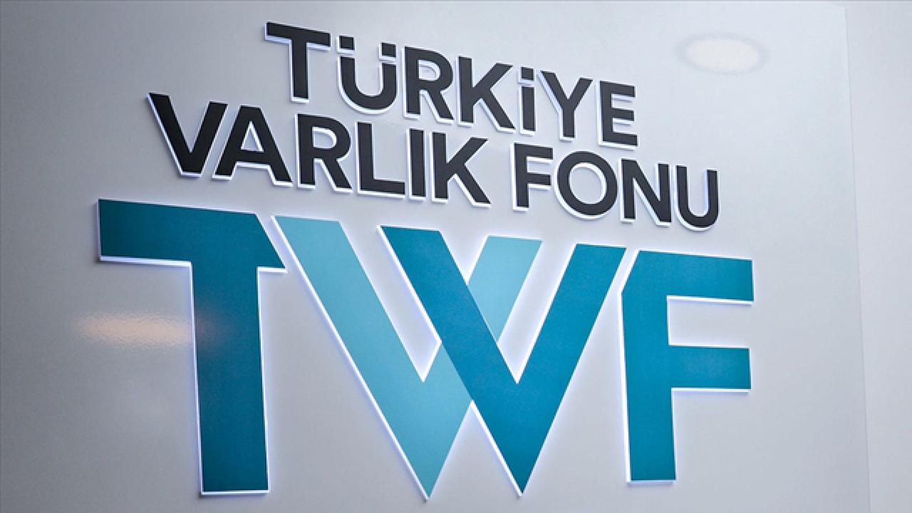 Türkiye Varlık Fonu dünyanın en hızlı gelişen fonları arasında