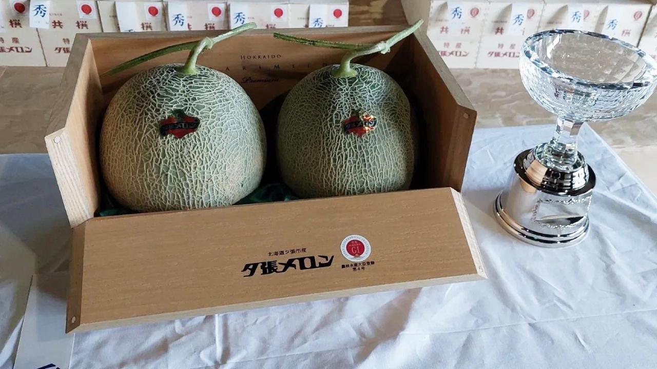 Kavun açık arttırmada yaklaşık 36 bin 500 dolara satıldı