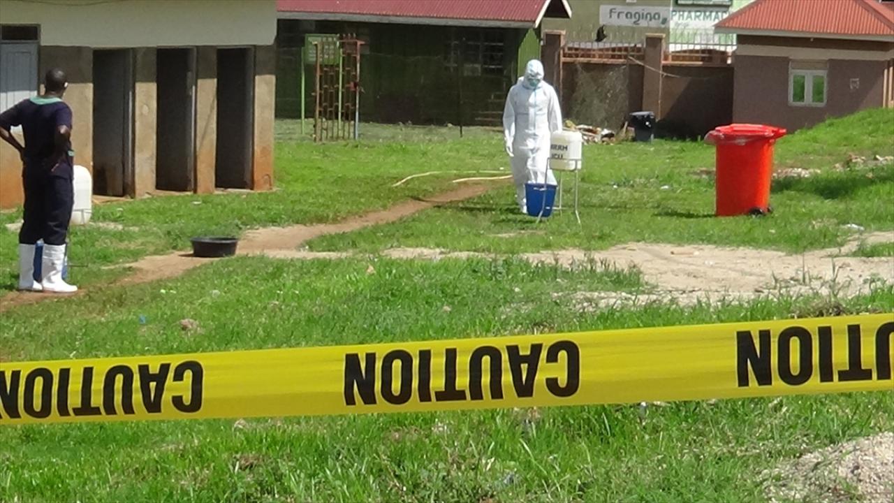 DSÖ alarm verdi: Ebola salgını küresel halk sağlığı acil durumu ilan edildi