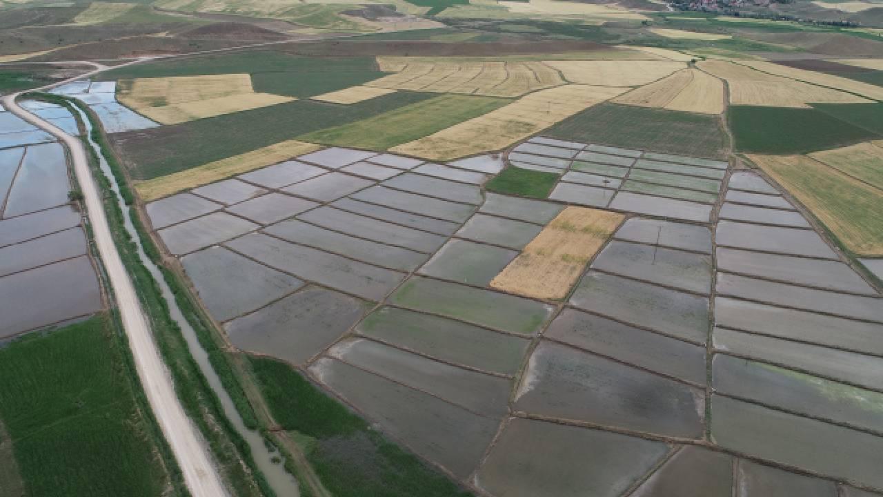 Tasarruflu tarımsal sulama yatırımlarına yüzde 70'e varan hibe desteği