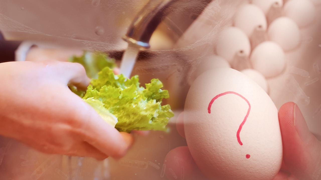 Belçika'da salmonella bakterisi bulaşan yumurtaları tüketen 300'den fazla kişi hastalandı