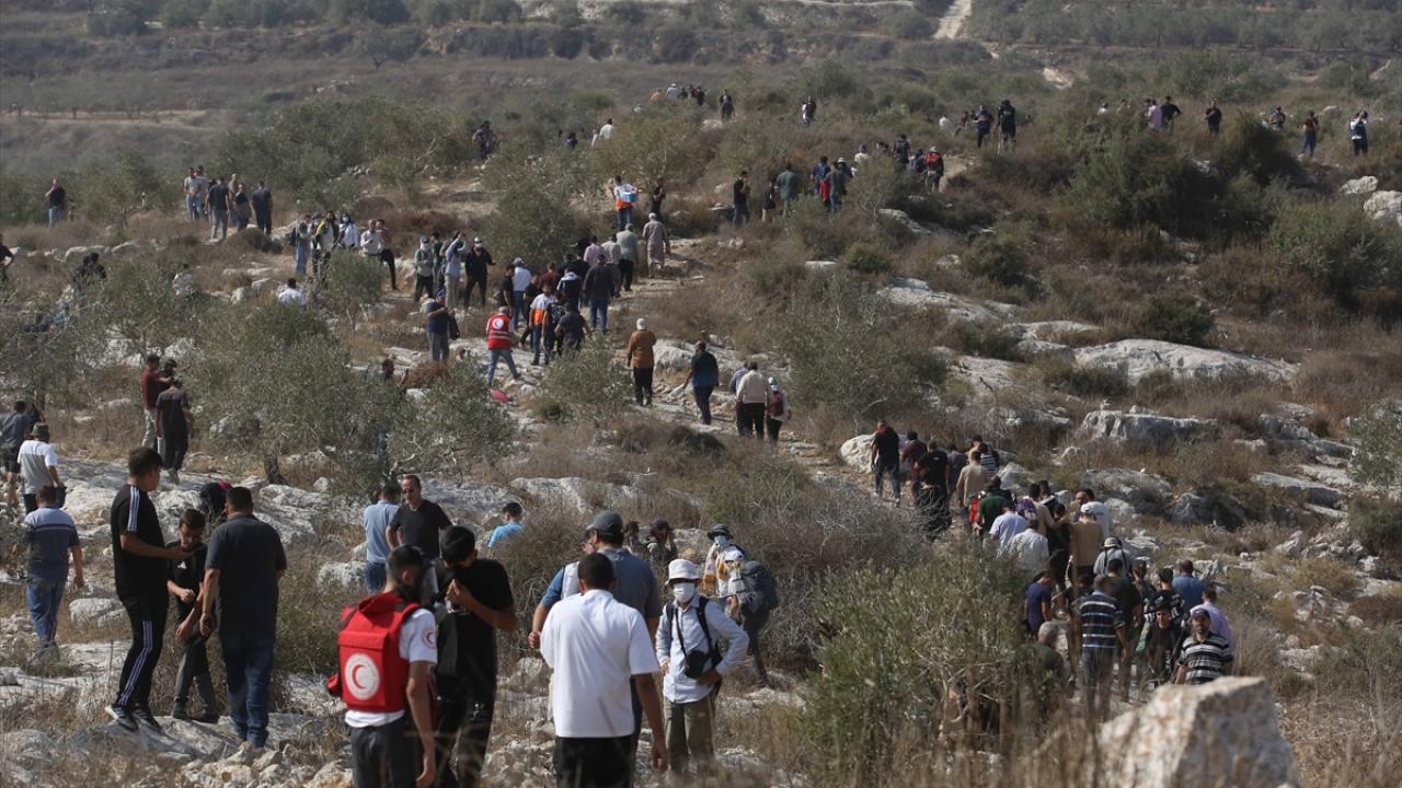İşgalci İsrail Maliye Bakanı: Batı Şeria'da Filistinlilere ait 3 bin ağacı söktük