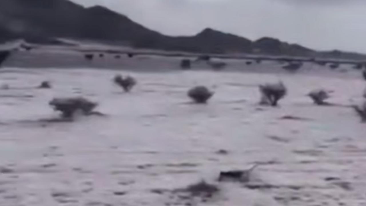 Suudi Arabistanda çöller dolu yağışıyla beyaza büründü