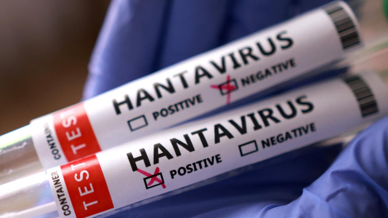 Sağlık Bakanlığı'ndan hantavirüs açıklaması