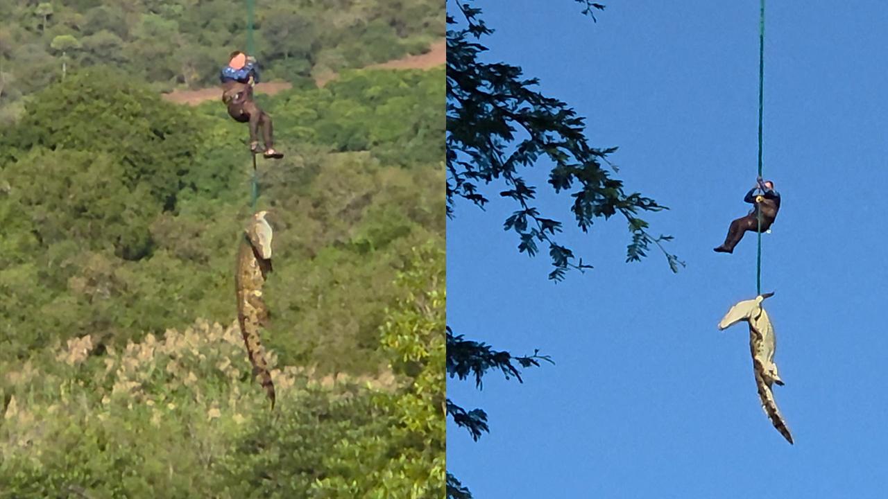 Güney Afrika'da dev timsahın midesinden çıkan terliklerin kayıp vakalarıyla bağı araştırılıyor
