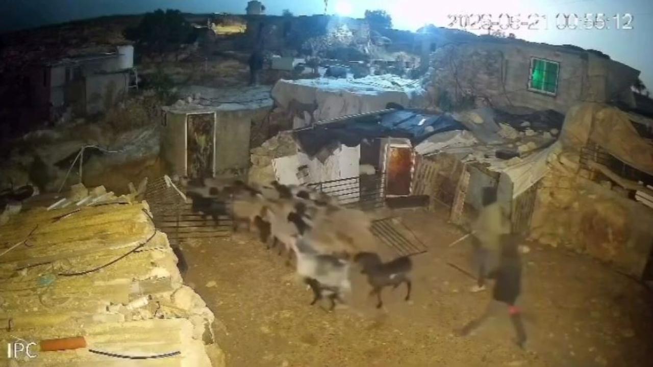 İşgalci İsrailliler Filistinlilerin hayvanlarını çaldı