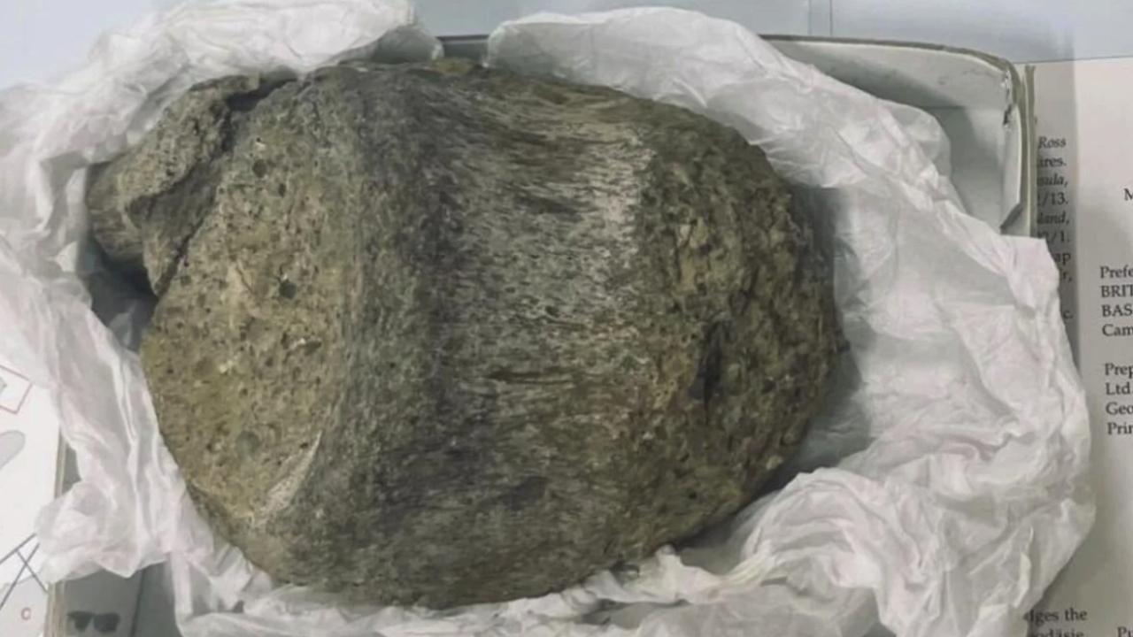 Çekmecede unutulan fosil Antarktikanın ilk dinazoru çıktı