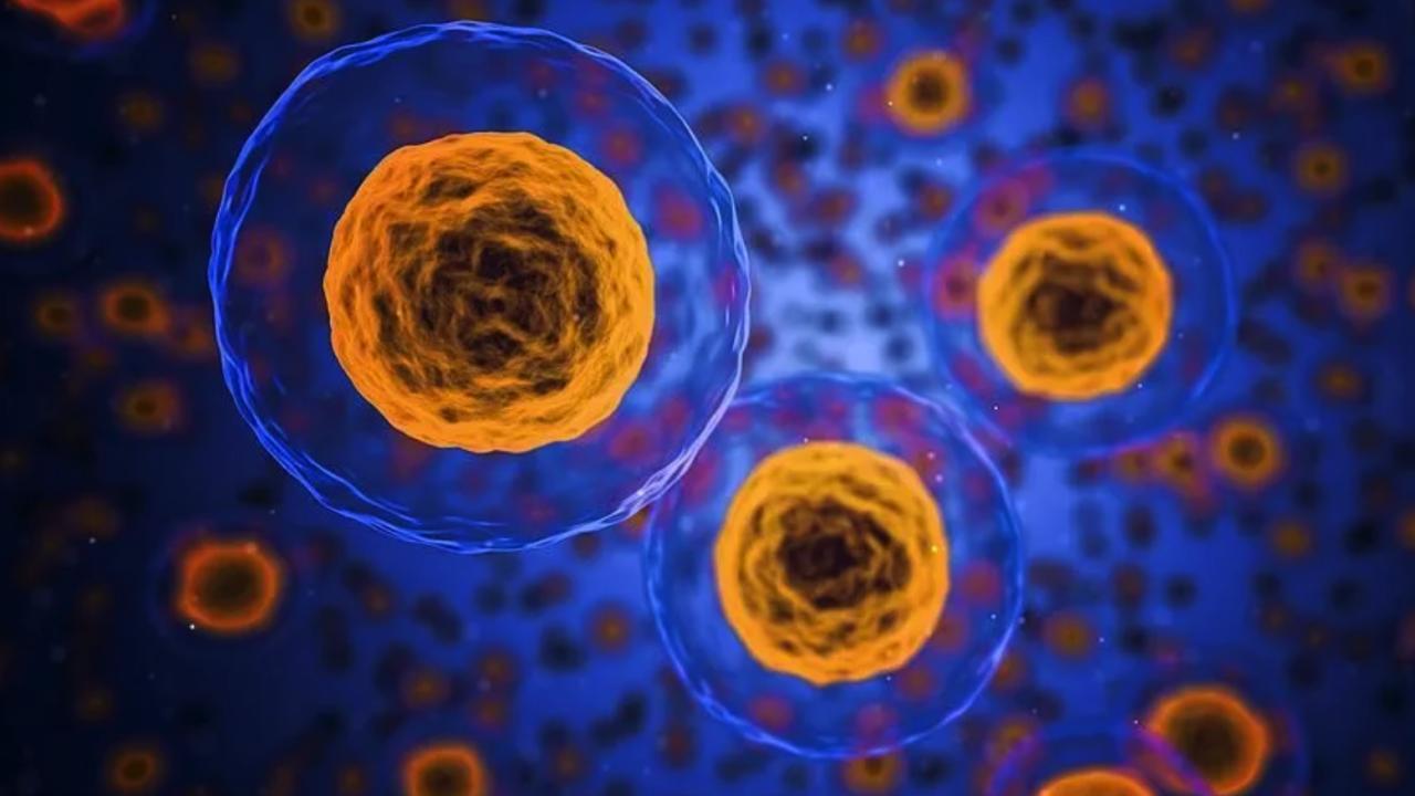 Cansız kimyasallardan ilk kez canlı gibi davranan hücre üretildi