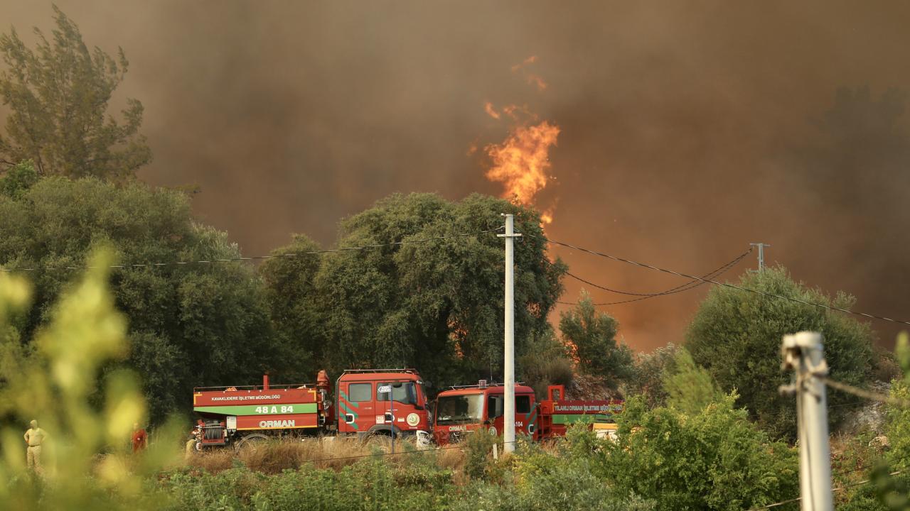 Fethiye'de orman yangını