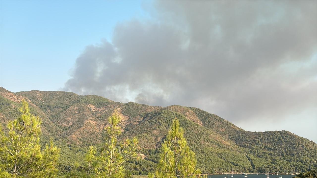 Marmaris'teki orman yangını kontrol altında