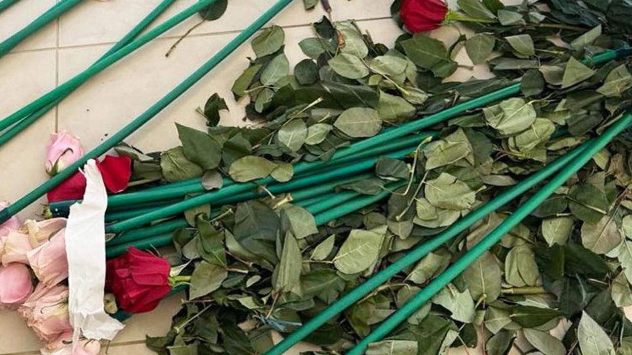 Kolombiya'dan Yunanistan'a güllerle uyuşturucu taşındı